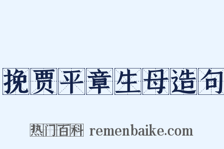 挽贾平章生母造句是什么意思的图片